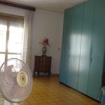 Rent 3 bedroom student apartment of 65 m² in Roma
