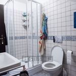 Rent 1 bedroom apartment in Ceské Budejovice