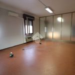 Rent 3 bedroom apartment of 220 m² in Mantova