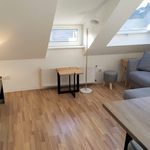 Rent 2 bedroom apartment of 30 m² in Stolberg