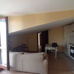Affitto 1 camera appartamento di 38 m² in Caserta