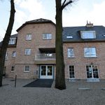 Rent 1 bedroom apartment in Boortmeerbeek