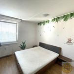 Rent 3 bedroom apartment in Tábor