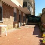 Rent 2 bedroom apartment in Ciampino