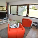 Rent 1 bedroom apartment of 36 m² in Kiel