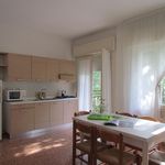 Rent 2 bedroom apartment of 60 m² in San Michele al Tagliamento