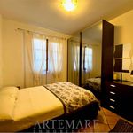 Rent 4 bedroom house of 80 m² in Pietrasanta