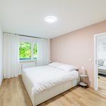 Rent 2 bedroom apartment of 64 m² in Nürnberg