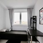 Rent a room of 46 m² in Wrocław