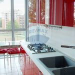Rent 2 bedroom apartment of 70 m² in Pioltello