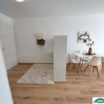 Rent 2 bedroom apartment of 42 m² in Hollabrunn