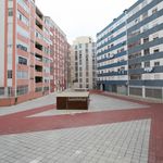 Rent 5 bedroom apartment in Pontinha