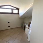 Rent 2 bedroom apartment of 77 m² in Milano
