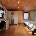 Rent 3 bedroom house in Lokeren