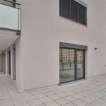 Pronajměte si 2 ložnic/e byt o rozloze 59 m² v České Budějovice