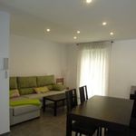 Rent 3 bedroom apartment of 75 m² in Elche