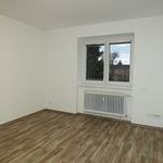 Rent 1 bedroom apartment of 30 m² in Budweis