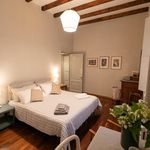 Affitto 1 camera appartamento di 60 m² in Parma