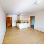 Rent 2 bedroom apartment in Havlickuv Brod