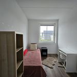 Huur 3 slaapkamer huis van 114 m² in Vlijmen