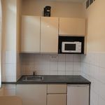 Rent 1 bedroom apartment of 18 m² in SAINT