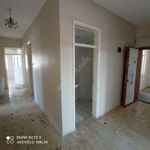 Rent 3 bedroom apartment of 200 m² in Hamidiye