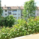 Rent 1 bedroom apartment in Basel