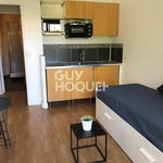 Rent 1 bedroom apartment of 18 m² in SCEAUX