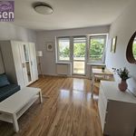 Rent 1 bedroom apartment of 32 m² in Poznan