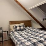 Rent a room of 65 m² in Trondheim