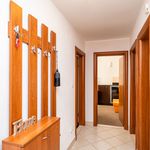 Najam 1 spavaće sobe stan od 50 m² u Dubrovnik