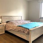 Rent 3 bedroom house in Kortrijk