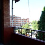 Affitto 3 camera appartamento di 75 m² in Alessandria