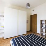 Rent a room in Cesano Boscone