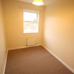 Rent 4 bedroom apartment in Darlington