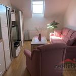 Rent 2 bedroom apartment of 52 m² in Opava