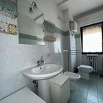 Rent 1 bedroom apartment of 75 m² in Roma