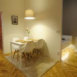 Rent 1 bedroom apartment of 41 m² in Olomouc
