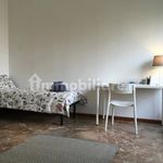 Rent 1 bedroom house of 20 m² in Padova