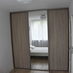 Rent 2 bedroom apartment of 46 m² in Wrocław