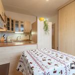 Rent 1 bedroom house of 40 m² in Pardubice