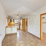 Rent 1 bedroom house of 150 m² in Chýně
