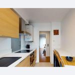 Rent 3 bedroom apartment of 60 m² in Toulouse