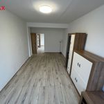 Rent 2 bedroom apartment of 50 m² in Bruntal
