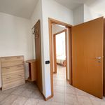 Rent 1 bedroom apartment of 45 m² in Suzzara