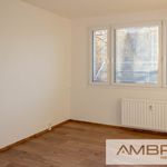 Rent 1 bedroom apartment of 37 m² in Karviná