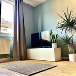 Rent 3 bedroom apartment of 65 m² in Mainz