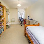 Rent 2 bedroom house in Newton Aycliffe
