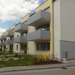 Rent 3 bedroom apartment of 77 m² in Groß Gerungs
