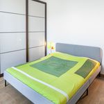Rent 1 bedroom apartment of 83 m² in Monghidoro